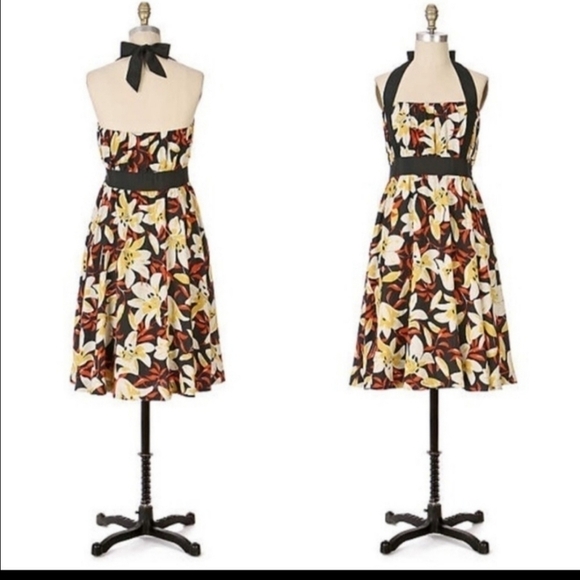 Anthropologie Dresses & Skirts - Moulinette Soeurs Mayflower Lily silk dress 8